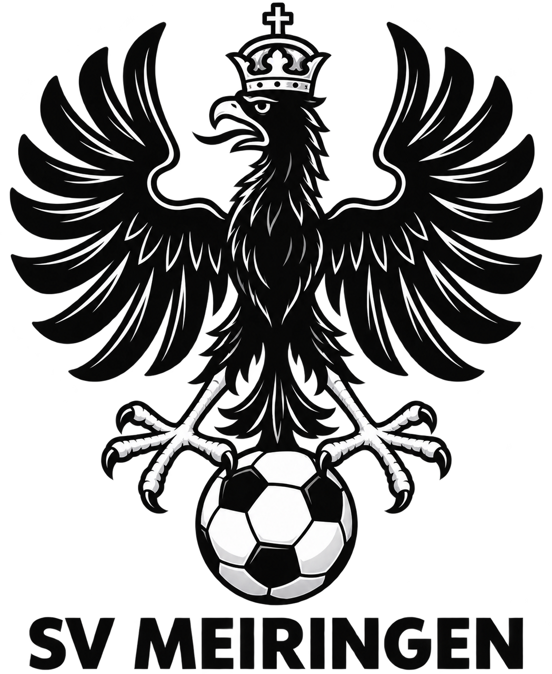 Sportverein Meiringen
